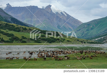 吉爾吉斯_沿著朱克河的小徑 吉爾吉斯_沿著朱克河的小徑 130613189