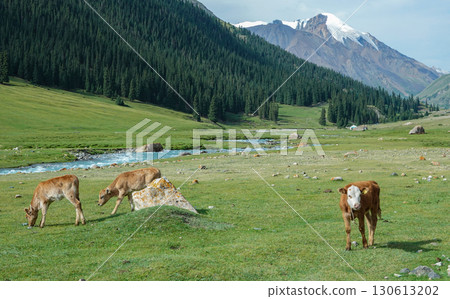 Kyrgyzstan_Trail along the Djuk River 130613202