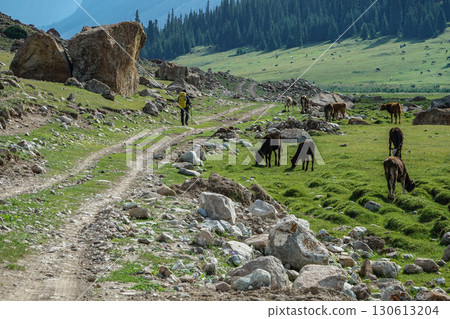 Kyrgyzstan_Trail along the Djuk River 130613204