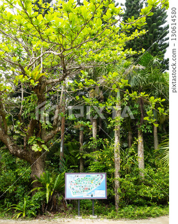 Yufu Island 130614580