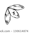 Hand drawn vector illustration of clover leaf in engraving style, known as a lucky charm, symbolic for Irish tradition, perfect for botanical prints, eco packaging, herbal labels and St Patrick s Day 130614874