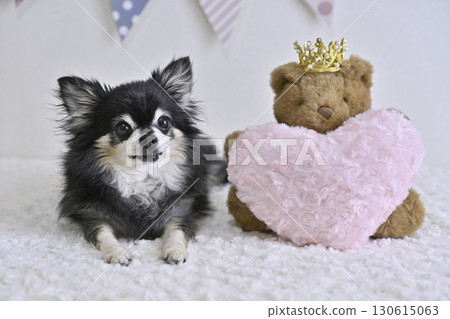 帶著粉紅心和泰迪熊的微笑吉娃娃 帶著粉紅心和泰迪熊的微笑吉娃娃 130615063