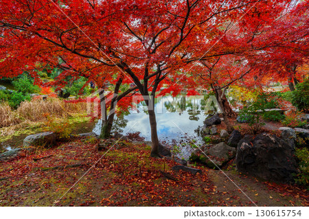 Kyoto Shosei-en Garden: Engetsuchi Pond and Tanpu Valley 130615754