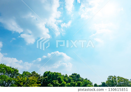 Blue sky, clouds and grove 130615851