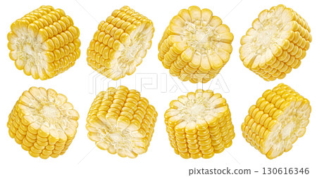Corn cob slices isolated on white background with clipping path, collection, full depth of field Corn cob slices isolated on white background with clipping path, collection, full depth of field 130616346
