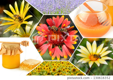 Honey, flowers and Bee Collage Honey, flowers and Bee Collage 130616352