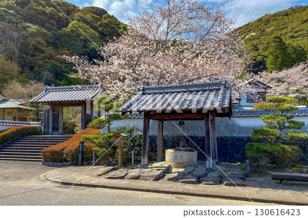 佐伯市:京心亭茶室與盛開的櫻花 佐伯市:京心亭茶室與盛開的櫻花 130616423