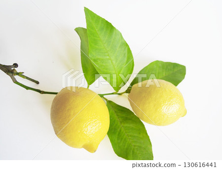 Yellow lemon, lemon leaves, branch, white background, fruit Yellow lemon, lemon leaves, branch, white background, fruit 130616441