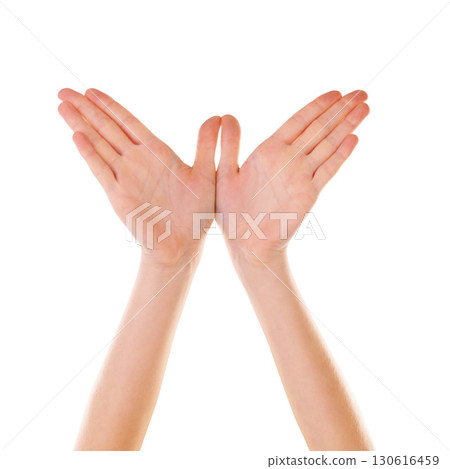 Hands, bird and mockup with a person in studio isolated on a white background for branding or a logo. Social media, abstract and creative with a woman on blank space making a hand sign or gesture 130616459