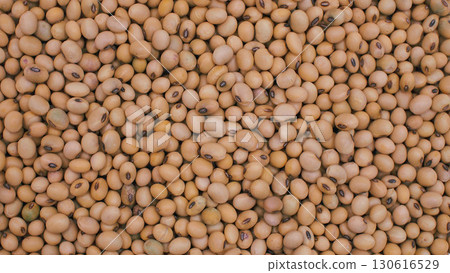 Close-up of raw soybeans filling the frame. Perfect for illustrating organic ingredients 130616529