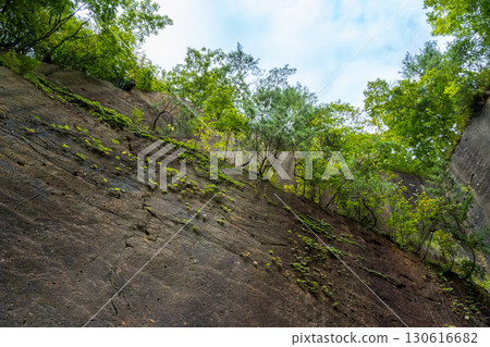 瓜破岩庭園的自然美景 130616682