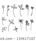 Hand drawn vector set of clover illustrations with leaves, buds and flowers, created in line art style, suitable for botanical prints, herbal packaging, eco cosmetics and St Patrick s Day projects 130617187