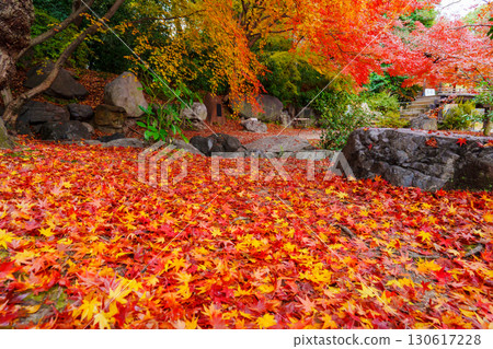 京都涉成園丹風溪的落葉地毯 130617228
