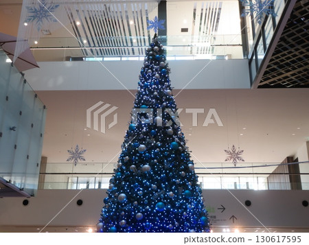 Tree Minato Mirai Tree Minato Mirai 130617595