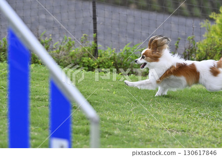 巴比龍玩狗跑 130617846