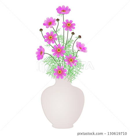 花瓶裡的波斯菊插圖 130619710