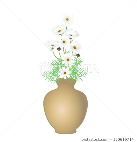花瓶裡的波斯菊插圖 130619714