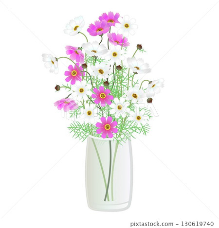 Illustration of cosmos in a vase 130619740