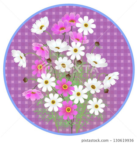 Illustration of cosmos with circular background Illustration of cosmos with circular background 130619936