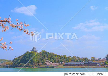 愛知縣犬山市犬山城的春天景色和櫻花 130619970