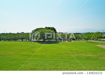 寒川中央公園草地廣場（夏季、8月） 130620232