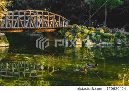Wooden bridge and ducks on pond in National Garden Athens, Greece. Wooden bridge and ducks on pond in National Garden Athens, Greece. 130620424