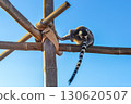 Ring-tailed lemur on wooden structure at Attica Zoological Park in Athens, Greece. 130620507