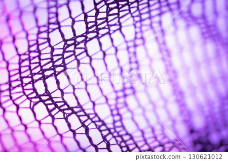 Lace Halloween background material 130621012