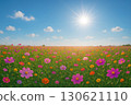 Cosmos fields shining under the blue sky and sun 130621110