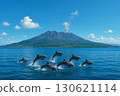 Sakurajima and dolphins leaping in the blue sea 130621114