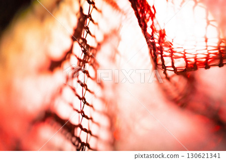 蕾絲萬聖節背景資料 130621341