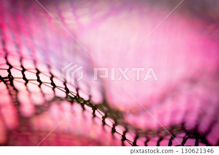 蕾絲萬聖節背景資料 130621346