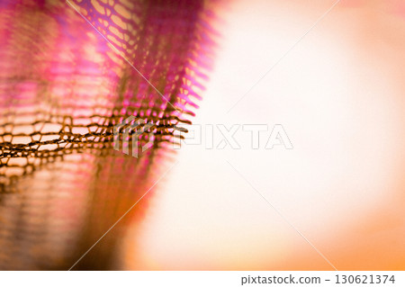 蕾絲萬聖節背景資料 130621374