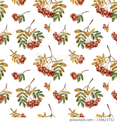 Rowan branch with ripe red berries and leaves. Autumn floral seamless pattern on white background. Watercolor hand drawn illustration for fall design, home textile, wrapping paper, wallpaper, fabric Rowan branch with ripe red berries and leaves. Autumn floral seamless pattern on white background. Watercolor hand drawn illustration for fall design, home textile, wrapping paper, wallpaper, fabric 130621732