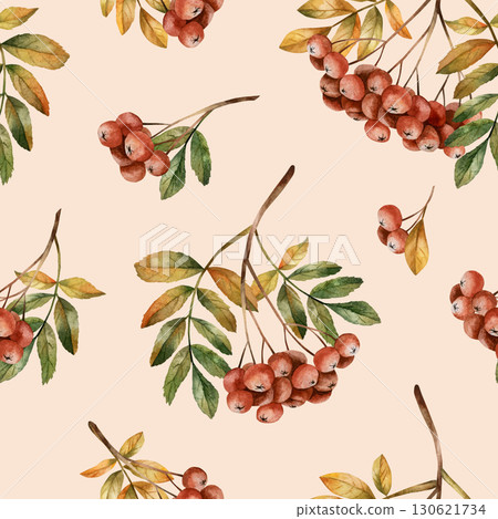 Rowan branch with ripe red berries and leaves. Autumn floral seamless pattern on beige background. Watercolor hand drawn illustration for fall design, home textile, wrapping paper, wallpaper, fabric 130621734
