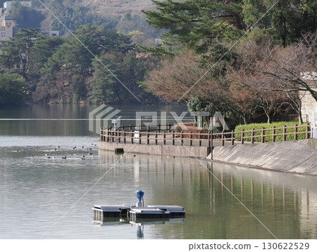 The Edge of Still Water - Floating Facilities and Seasonal Signs in Shiramizu Oike Park The Edge of Still Water - Floating Facilities and Seasonal Signs in Shiramizu Oike Park 130622529