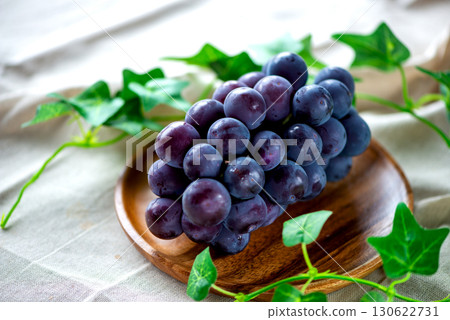 Fresh Pione Fresh Pione 130622731