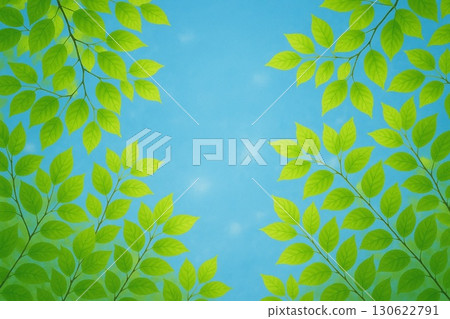 Sunny weather, blue sky, young leaves image Sunny weather, blue sky, young leaves image 130622791
