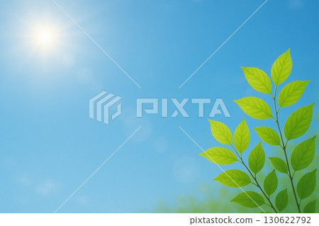 Sunny weather, blue sky, young leaves image 130622792