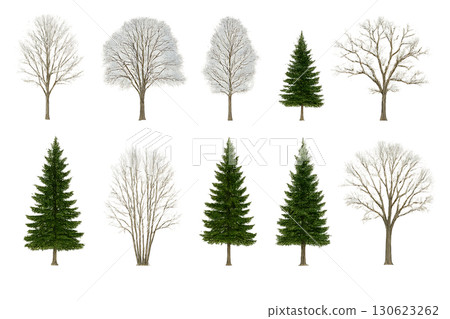 Winter Trees Set: Snow-covered Deciduous and Evergreen Trees, Realistic Photo Style, Transparent Background 130623262