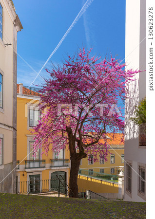 Spring Street Scene in Lisbon, Portugal 130623278