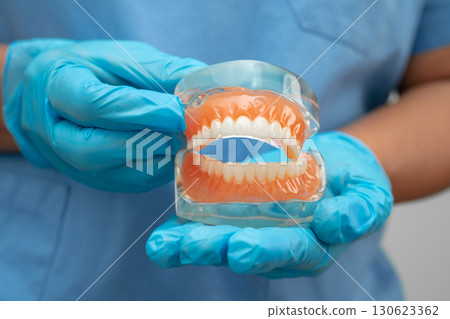 Asian dentist holding dental teeth model for learn about dentistry. 130623362