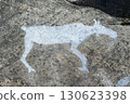Ancient petroglyph of animal carved on weathered rock surface, prehistoric art in Zalavruga, Karelia, Russia 130623398