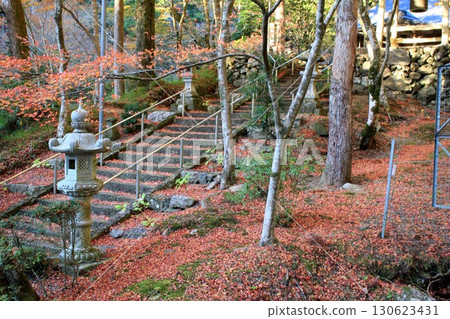 Kozoji Temple Autumn Leaves Kozoji Temple Autumn Leaves 130623431