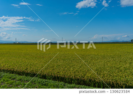 The vast rural landscape of Hokkaido in summer 130623584