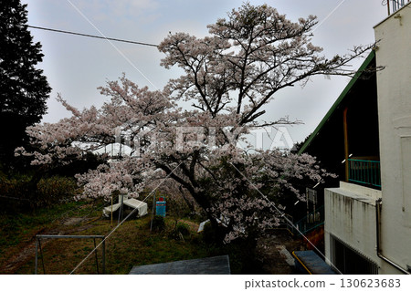 近鐵西志木纜車線纜車高安山站 130623683