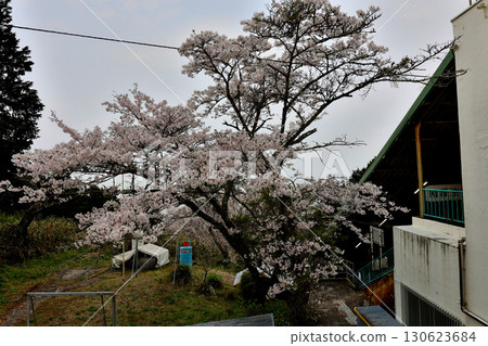 Kintetsu Nishi-Shigi Cable Line Cable Car Takayasuyama Station 130623684