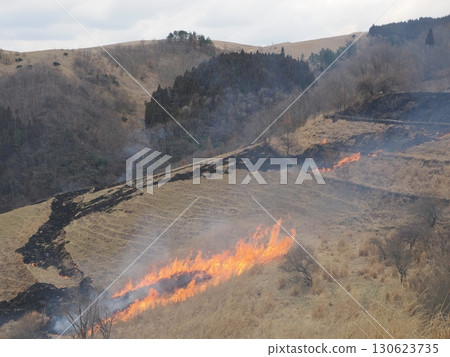 岩石與樹木之間-紅木牧場上隱約可見的田野燃燒的輪廓 岩石與樹木之間-紅木牧場上隱約可見的田野燃燒的輪廓 130623735