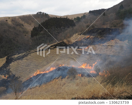 一道火光劃破天際－紅木牧場的燃燒，斜坡的回憶 130623739