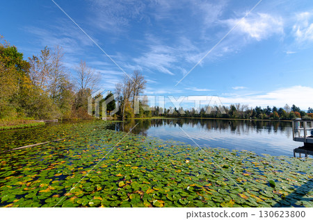 Mill Lake in Abbotsford, BC, Canada Mill Lake in Abbotsford, BC, Canada 130623800